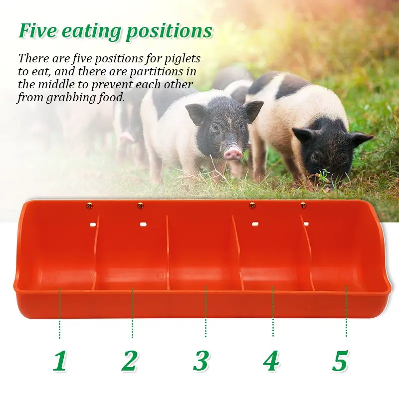 Plastic Piglet Trough Type Feeding Machine